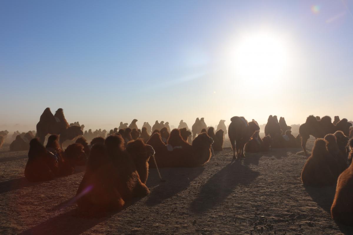  ӨМНӨГОВЬ АЙМАГ