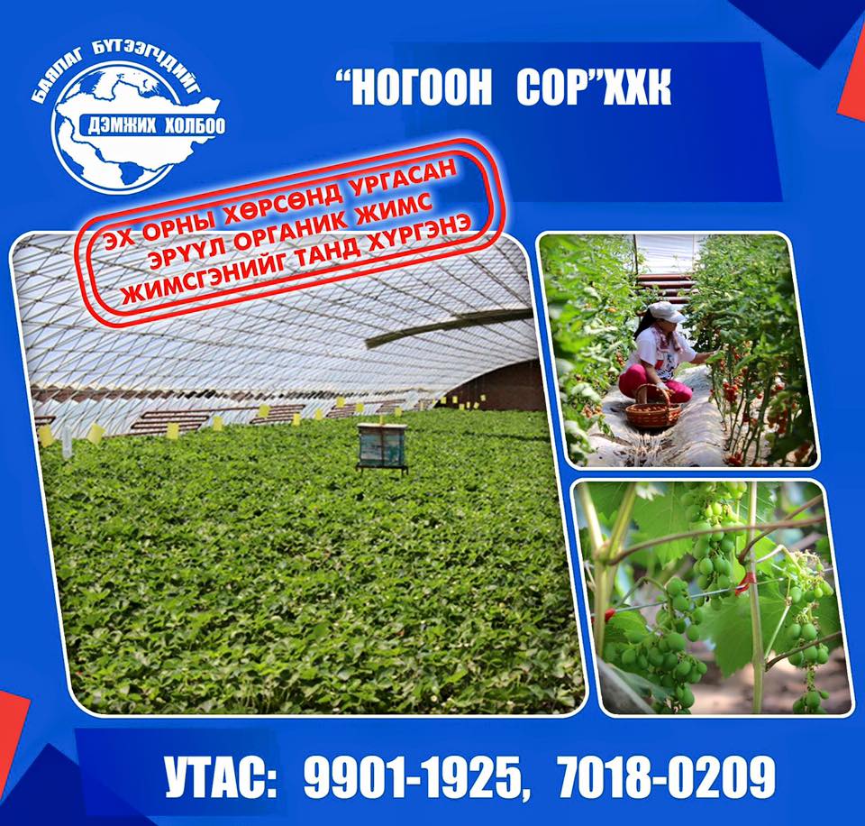 НОГООН СОР ХХК